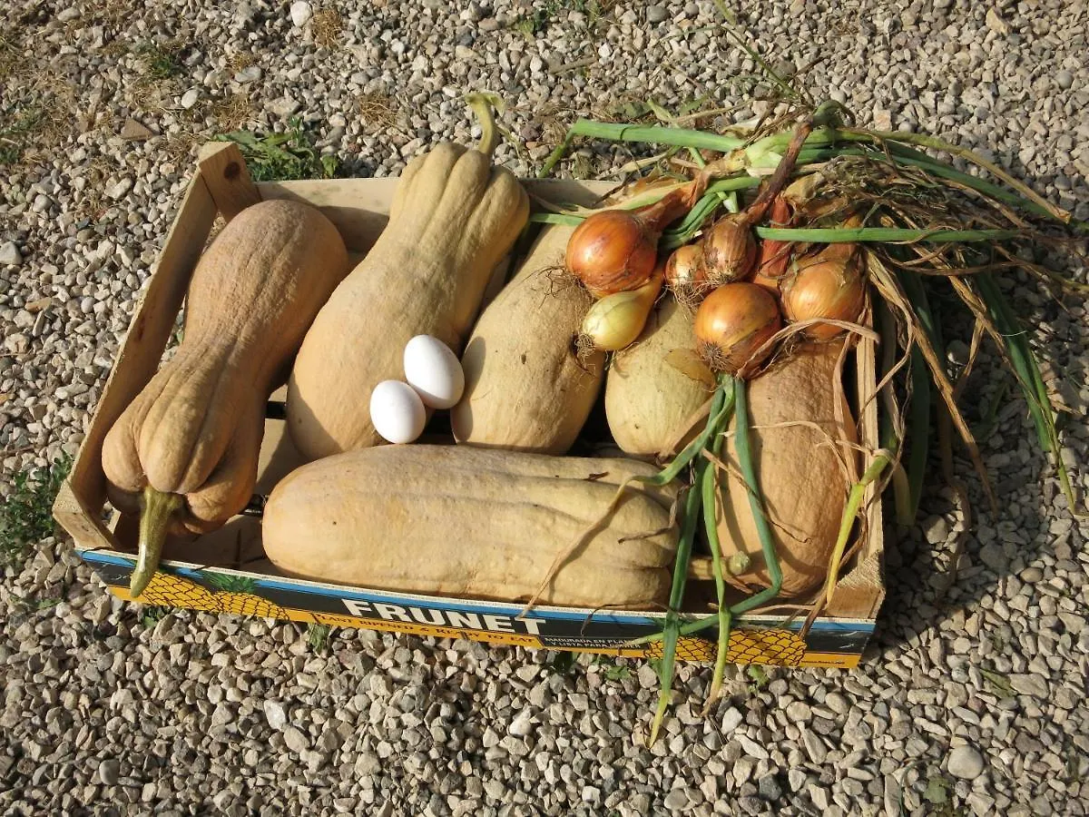 Agriturismo Fior Di Maggio Pescantina Itálie