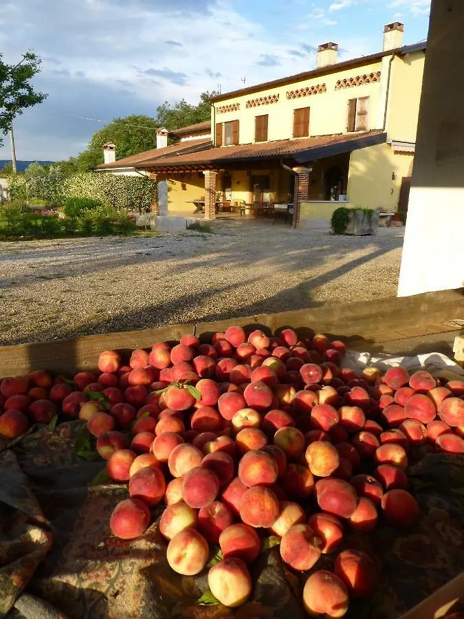 Farma Agriturismo Fior Di Maggio Pescantina
