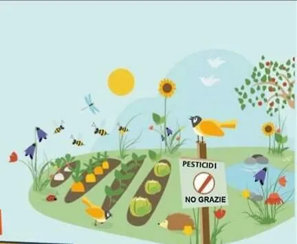 Farma Agriturismo Fior Di Maggio Pescantina