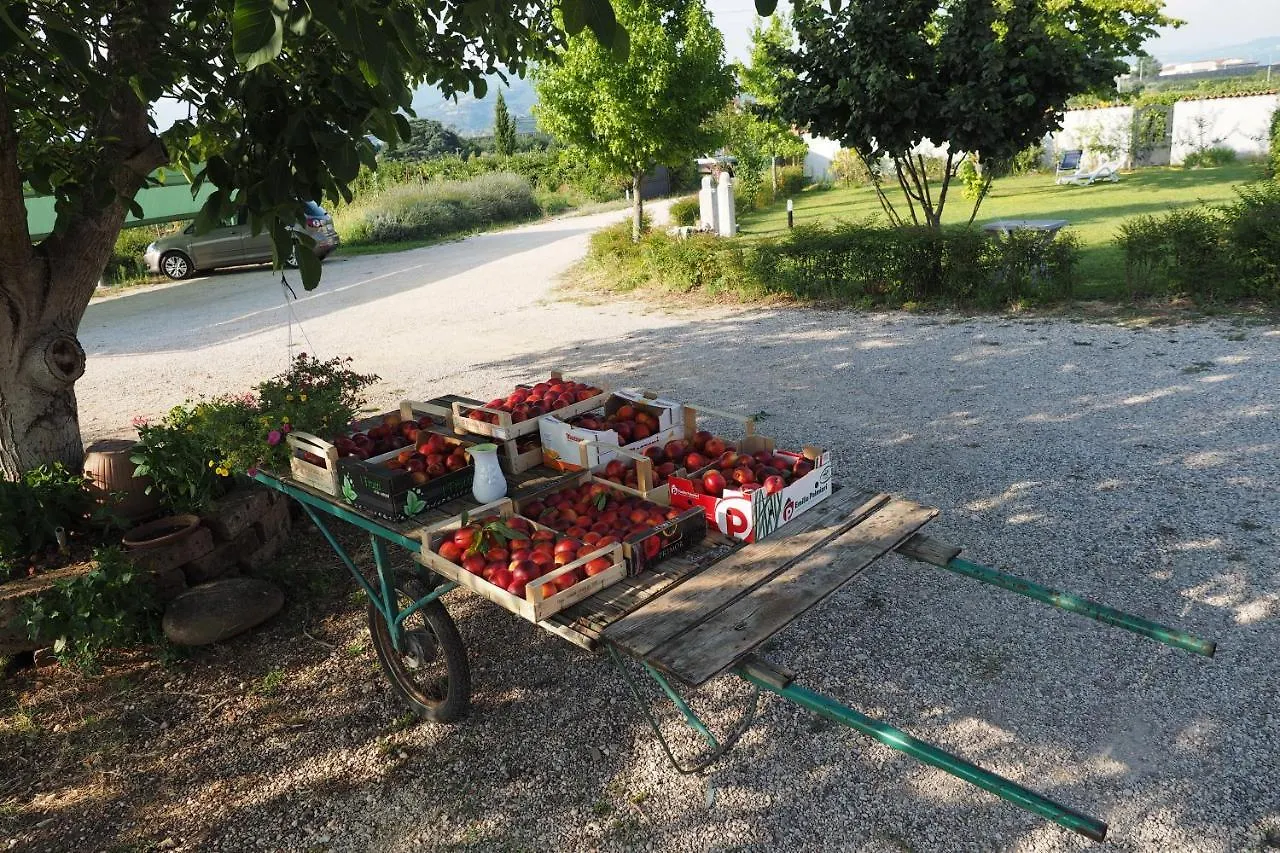 Agriturismo Fior Di Maggio Pescantina Bauernhof