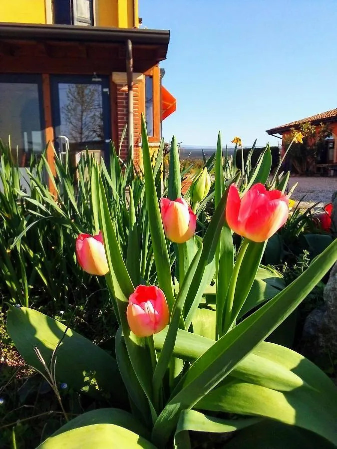 Agriturismo Fior Di Maggio Pescantina