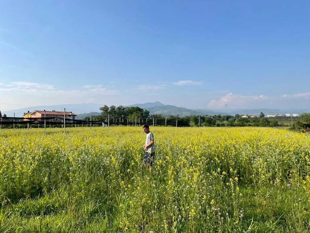 Agriturismo Fior Di Maggio Pescantina 0*,  Italien