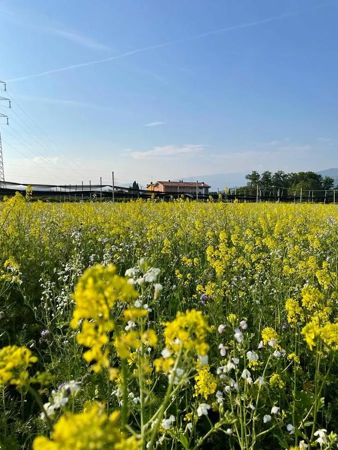 Bauernhof Agriturismo Fior Di Maggio Pescantina Italien