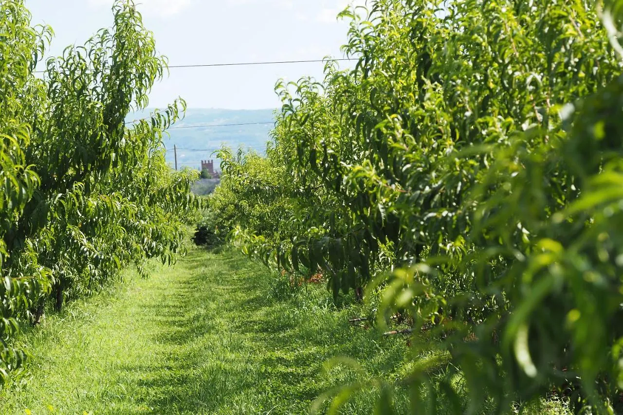 Agriturismo Fior Di Maggio Pescantina Italien